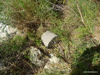 lazzelli-19-04-2018 10-46-34